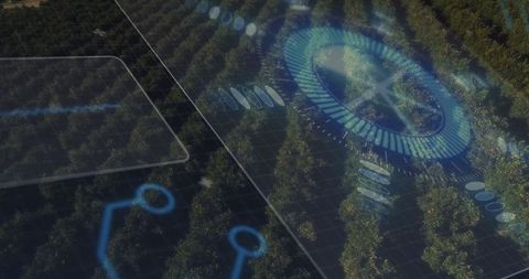 Aerial Precision Agriculture with Holographic Data Overlay