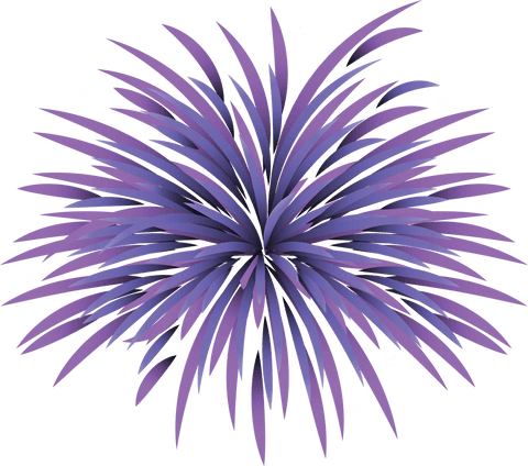 purple firework burst with stars transparent illustration - Download Free Stock Videos Pikwizard.com