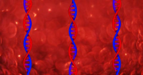 Dna strands on red particles background concept