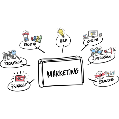 creative marketing and business design vector on transparent background - Download Free Stock Videos Pikwizard.com
