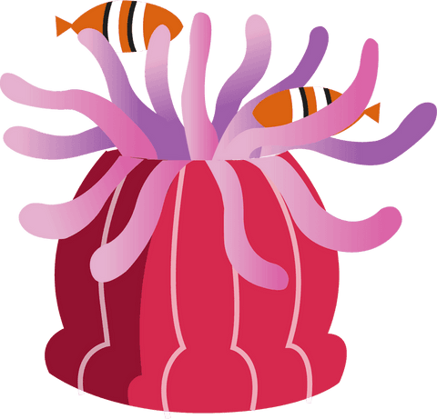 stylized sea anemone with clownfish on transparent background - Download Free Stock Videos Pikwizard.com