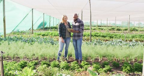 Diverse Farmers Using Digital Tablet in Modern Greenhouse - Download Free Stock Images Pikwizard.com