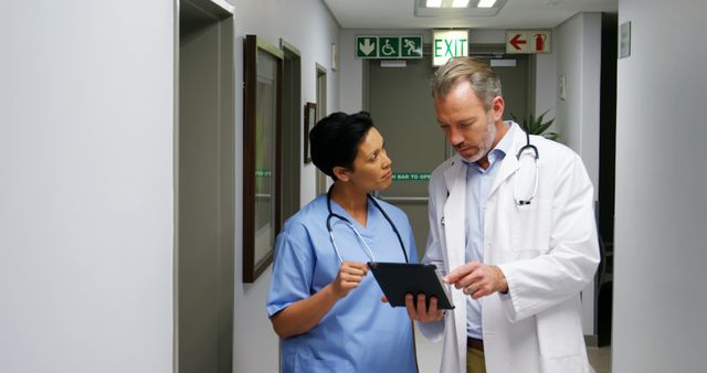 Doctors Discussing Patient Information in Hospital Corridor - Download Free Stock Images Pikwizard.com