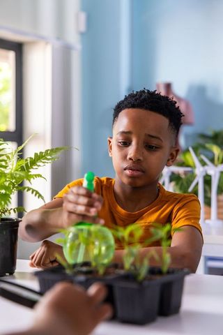 Young african american boy watering seedlings at home using green spray bottle