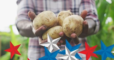 African American Farmer Holding Potatoes with Patriotic Stars