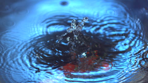 Vine Tomatoes Creating Splashing Ripples in Water