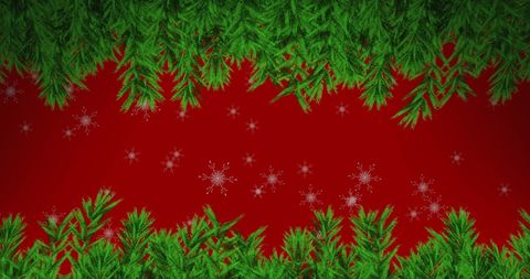 Festive Pine Branches and Snowflakes on Red Holiday Background