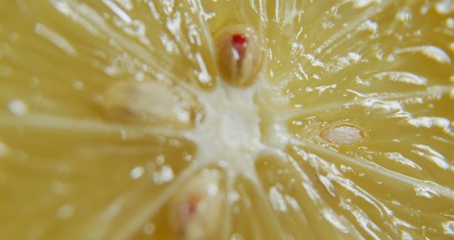 Close-up macro shot of a lemon slice showcasing the seeds and juicy texture. Ideal for use in culinary blogs, health and wellness websites, or any context requiring fresh and vibrant fruit imagery.