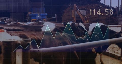 Cattle feeding overlay with innovative agricultural graph