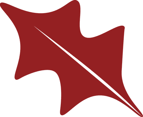 red leaf pattern on transparent background for design projects - Download Free Stock Videos Pikwizard.com