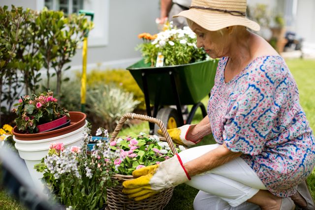 Senior Woman Gardening with Flowers in Backyard - Download Free Stock Photos Pikwizard.com