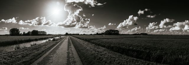 This monochrome image captures a quiet rural road stretching into the distance, illuminated by sunlight and framed by dramatic clouds against a vast sky. The fields on either side add a serene and tranquil atmosphere to the scene. Ideal for use in projects related to nature, travel, tranquility, or countryside living. Suitable for backgrounds, posters, and illustrations highlighting the beauty of open spaces and peaceful rural life.
