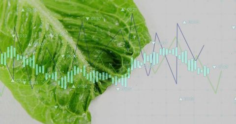 Lettuce Leaf with Overlay of Candlestick Charts and Line Graphs