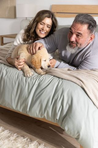 Mature couple cuddling golden retriever puppy on cozy neutral bedroom bed