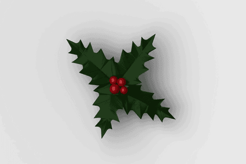 Festive christmas holly with red berries on transparent background