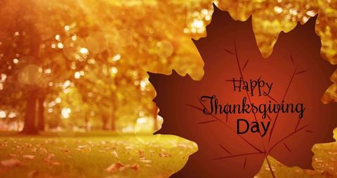 Sunlit maple leaf reading happy thanksgiving day over golden autumn park