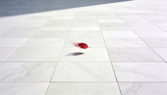 Crimson leaf floating over white marble tile grid casting long shadow minimalist composition
