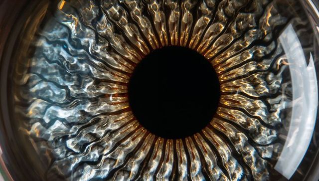 Macro iris close-up revealing radial fibers corneal glint high-detail eye texture