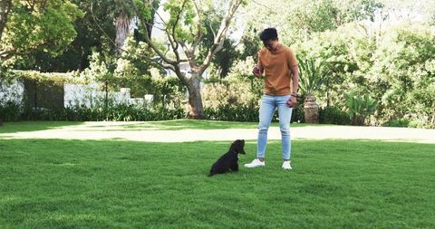 Asian Man Training Small Black Puppy on Garden Lawn
