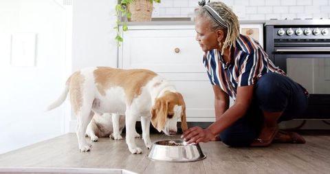 Senior Woman Feeding Dog in Modern Kitchen