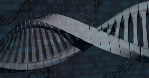 Digital DNA Strand Concept with Binary Code Overlay - Download Free Stock Images Pikwizard.com