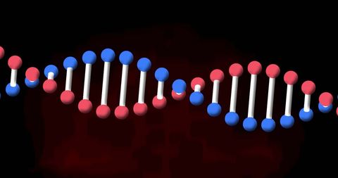 Rotating DNA Strand on Red and Black Abstract Background