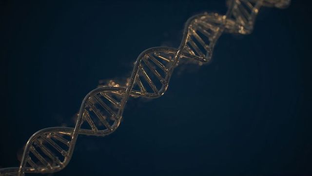 Golden glass dna double helix spiraling with particles 3d scientific visualization