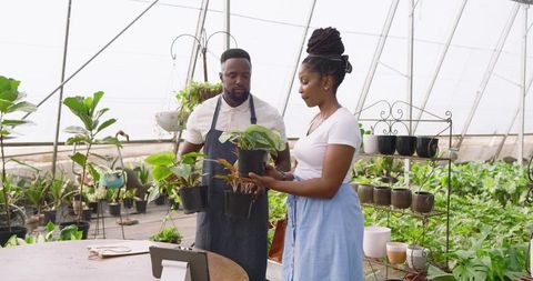 Discussion on Potted Plants in Bustling Greenhouse