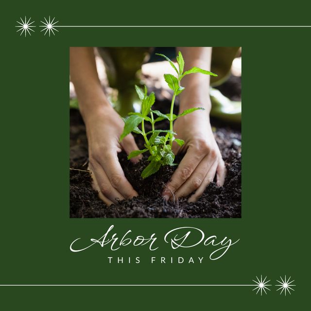 Arbor Day Celebration With Hands Planting Seedling - Download Free Stock Templates Pikwizard.com