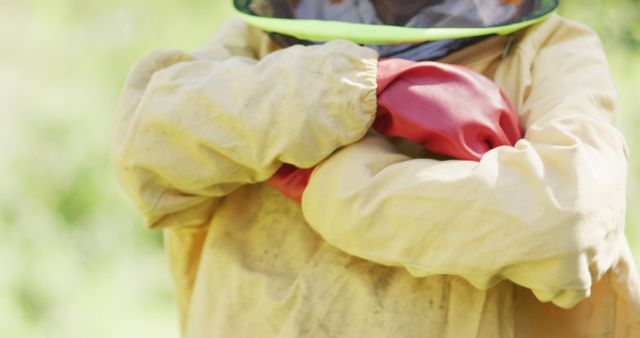 Close-up of Beekeeper Crossing Arms in Protective Clothing - Download Free Stock Images Pikwizard.com