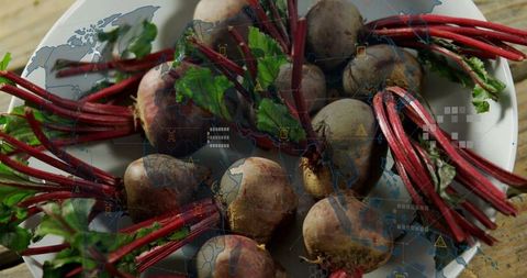 Organic Beetroots with Global Innovation Concept Overlay
