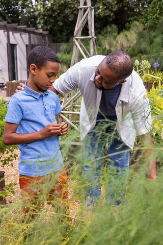 African american man mentoring boy in backyard garden, inspecting plant stems for learning