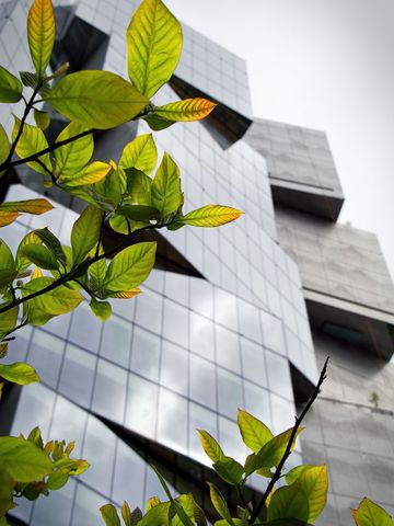 Modern architectural building with green foliage contrast