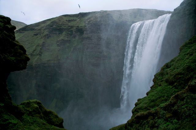 This beautiful view showcases the impressive Skogafoss waterfall in Iceland. With water plummeting against a backdrop of rugged cliffs and lush greenery, it exemplifies the dramatic landscapes on this unique island. You can use this image in promotional materials for travel and tourism, nature conservation projects, or as a breathtaking standalone piece on social media or environmental blogs.