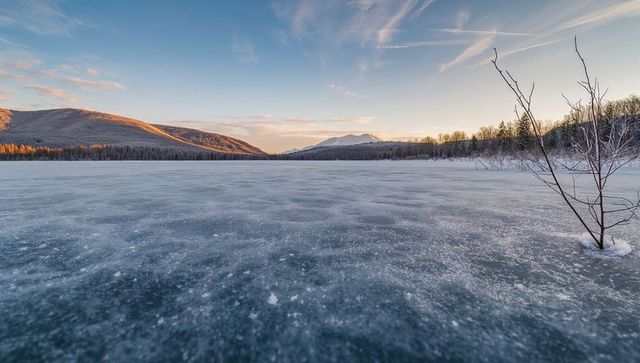 Frozen lake stretching across mountain valley at sunrise with lone shrub and alpenglow