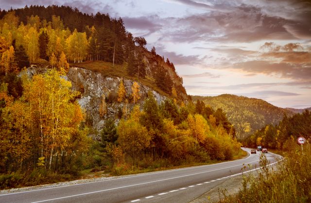 Beautiful winding highway surrounded by autumn trees with vibrant fall colors, and towering mountains in the background. Ideal for use in travel advertisements, nature blogs, and seasonal promotions.