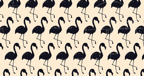 Seamless flamingo and equation pattern, playful educational design