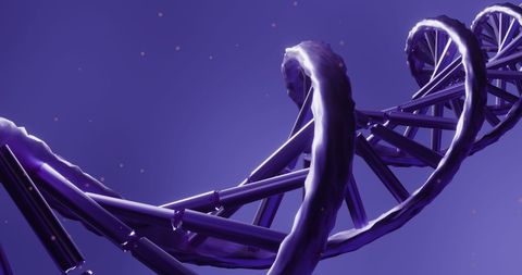 Spinning Purple DNA Helix for Science and Research - Download Free Stock Images Pikwizard.com