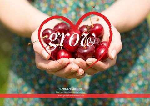 hands holding fresh cherries promoting growth symbolism - Download Free Stock Templates Pikwizard.com