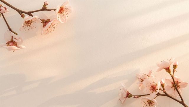 Soft pink cherry blossoms blooming on slender branches casting warm diagonal shadows, minimalist com