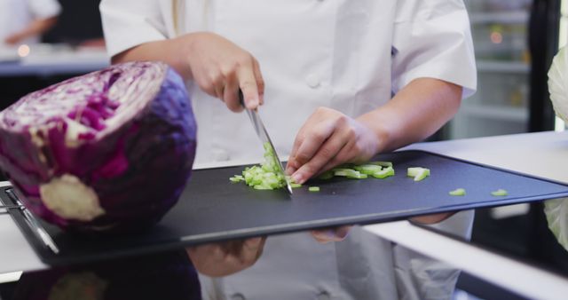 Chef chopping fresh vegetables in modern kitchen - Download Free Stock Images Pikwizard.com