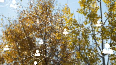 Network Connections Overlaid on Autumn Trees Visual