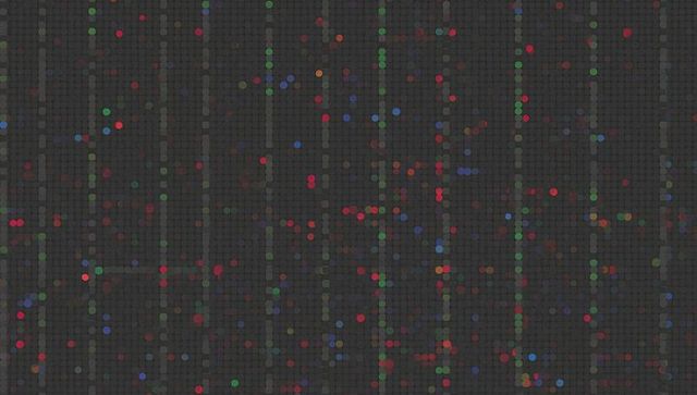 Revealing multicolor digital matrix of glowing dots and vertical bands on dark grid
