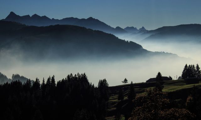 Misty Mountain Landscape at Dawn with Serene Pine Forest - Download Free Stock Photos Pikwizard.com