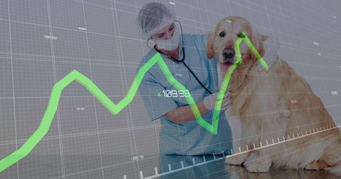 Veterinarian Using Stethoscope on Dog with Data Visualization Overlay