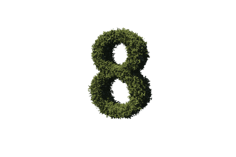 green number eight with foliage on transparent background - Download Free Stock Videos Pikwizard.com