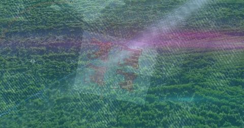 Aerial visualization of dense forest with technology overlays