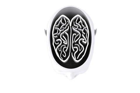 brain anatomy with abstract shapes on transparent background - Download Free Stock Videos Pikwizard.com