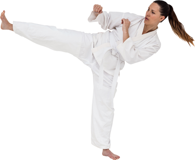 Karate Master Performing High Kick Pose on Transparent Background - Download Free Stock Videos Pikwizard.com