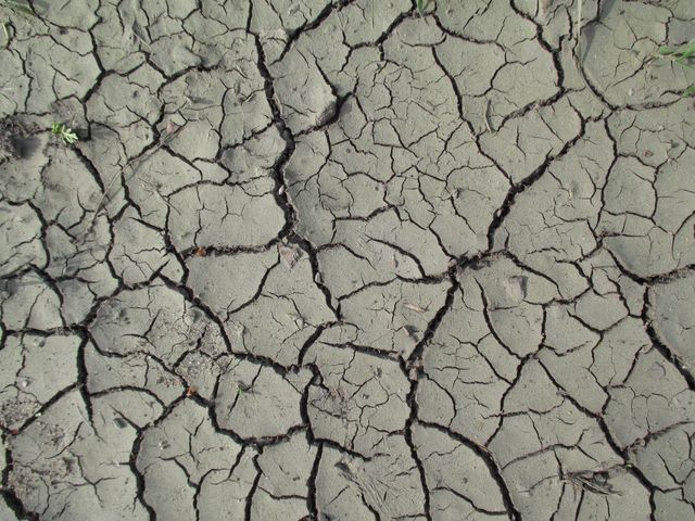 Close-Up View of Dry Cracked Soil - Download Free Stock Photos Pikwizard.com